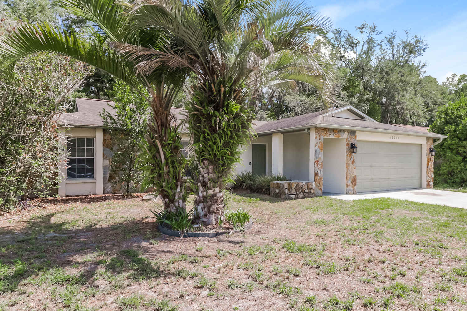 12231 Shadow Ridge Blvd photo 3