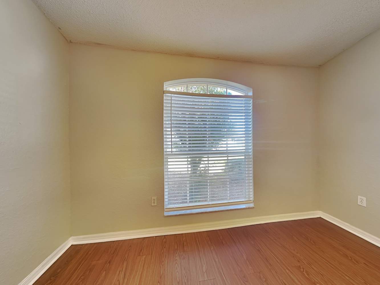 914 Summer Glen Dr photo 5