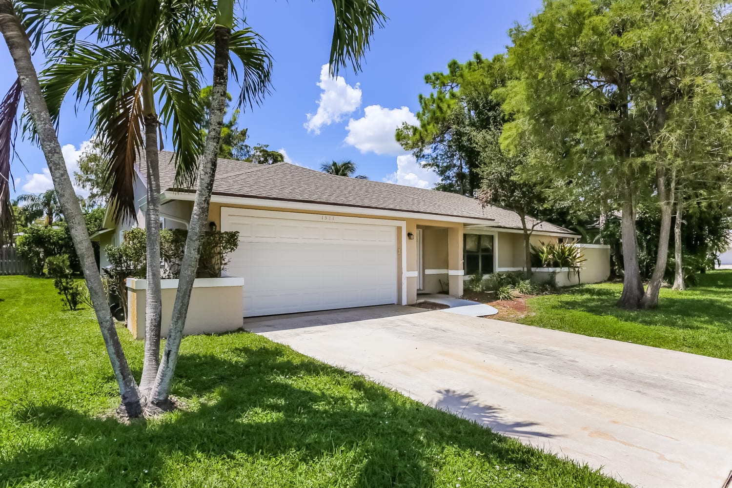 1511 Primrose Ln photo 3