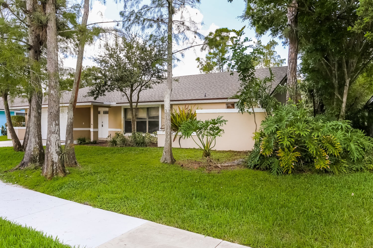 1511 Primrose Ln photo 2