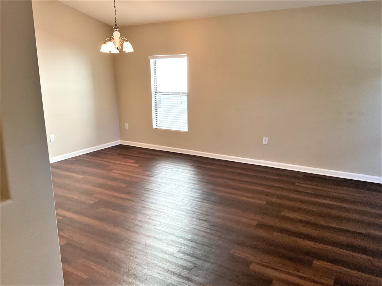1253 Hailey St photo 4