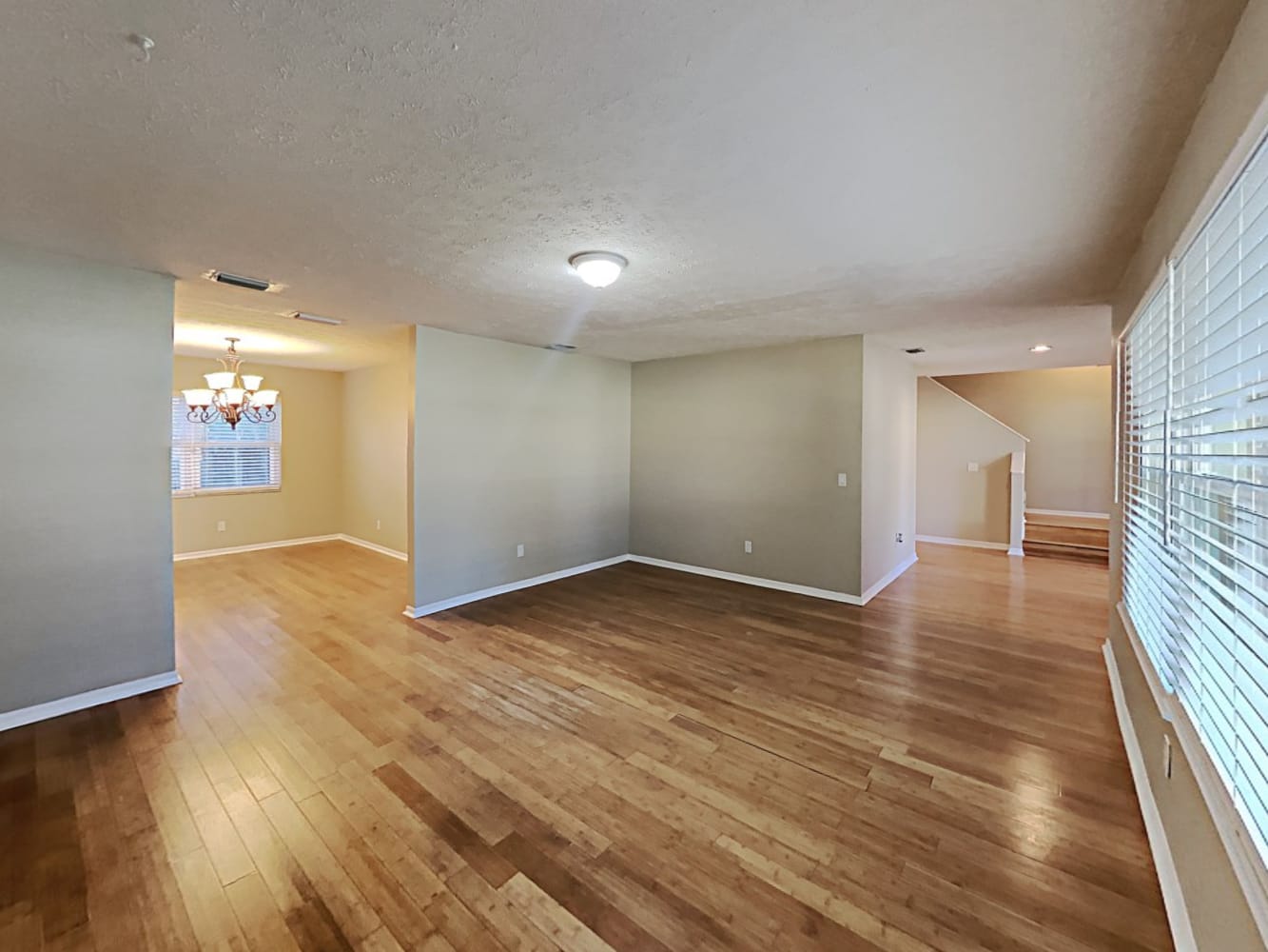 705 Lobelia St photo 4