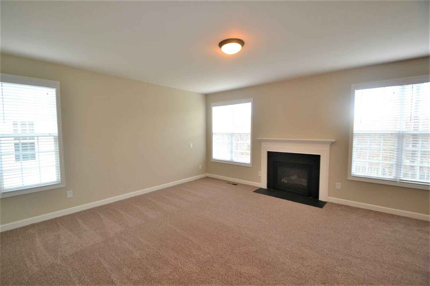 3833 Song Sparrow Dr photo 2