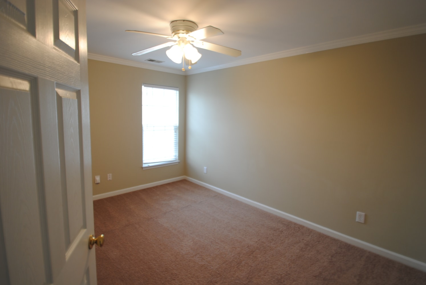 8707 Great Bear Ct photo 4