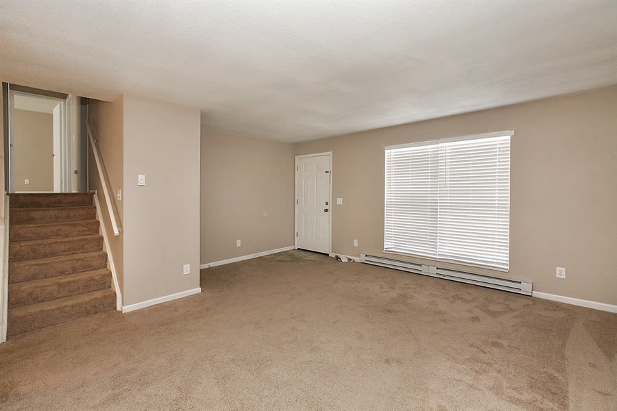 10932 Birch Dr photo 3