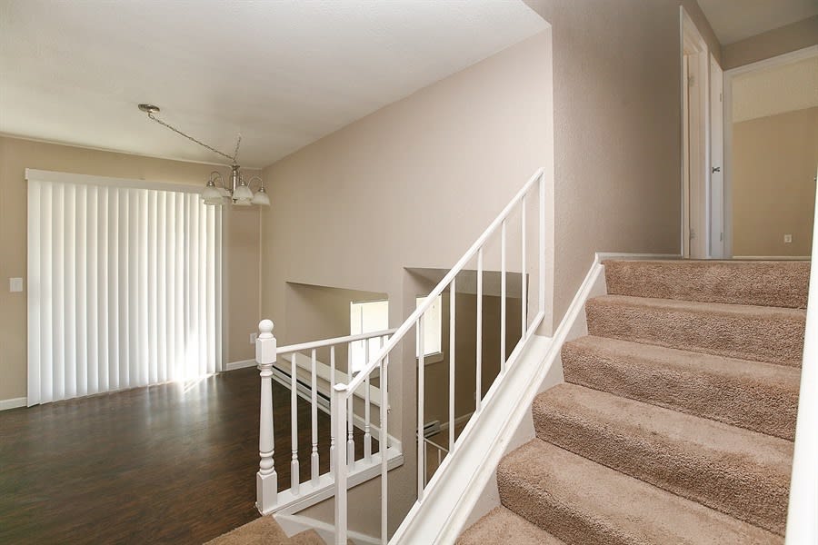 10932 Birch Dr photo 5