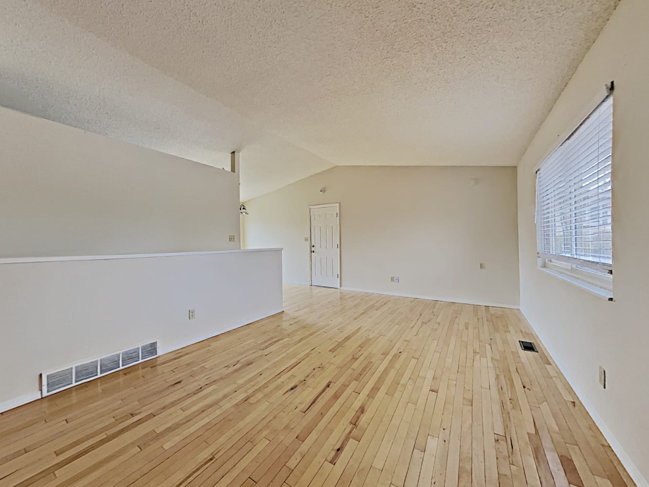 7210 Shavano Ct photo 4