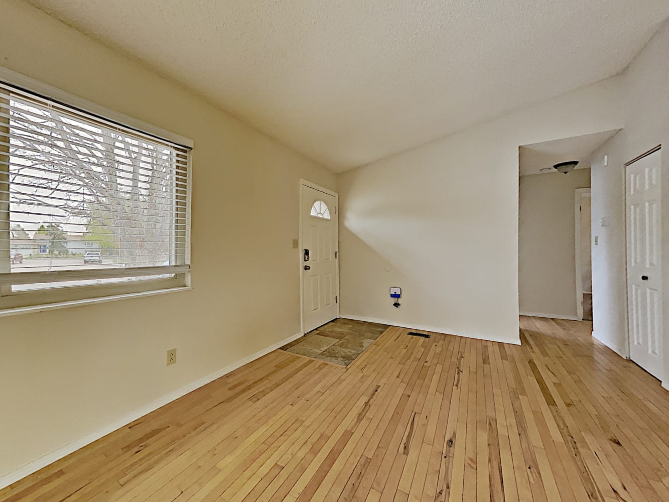 7210 Shavano Ct photo 5