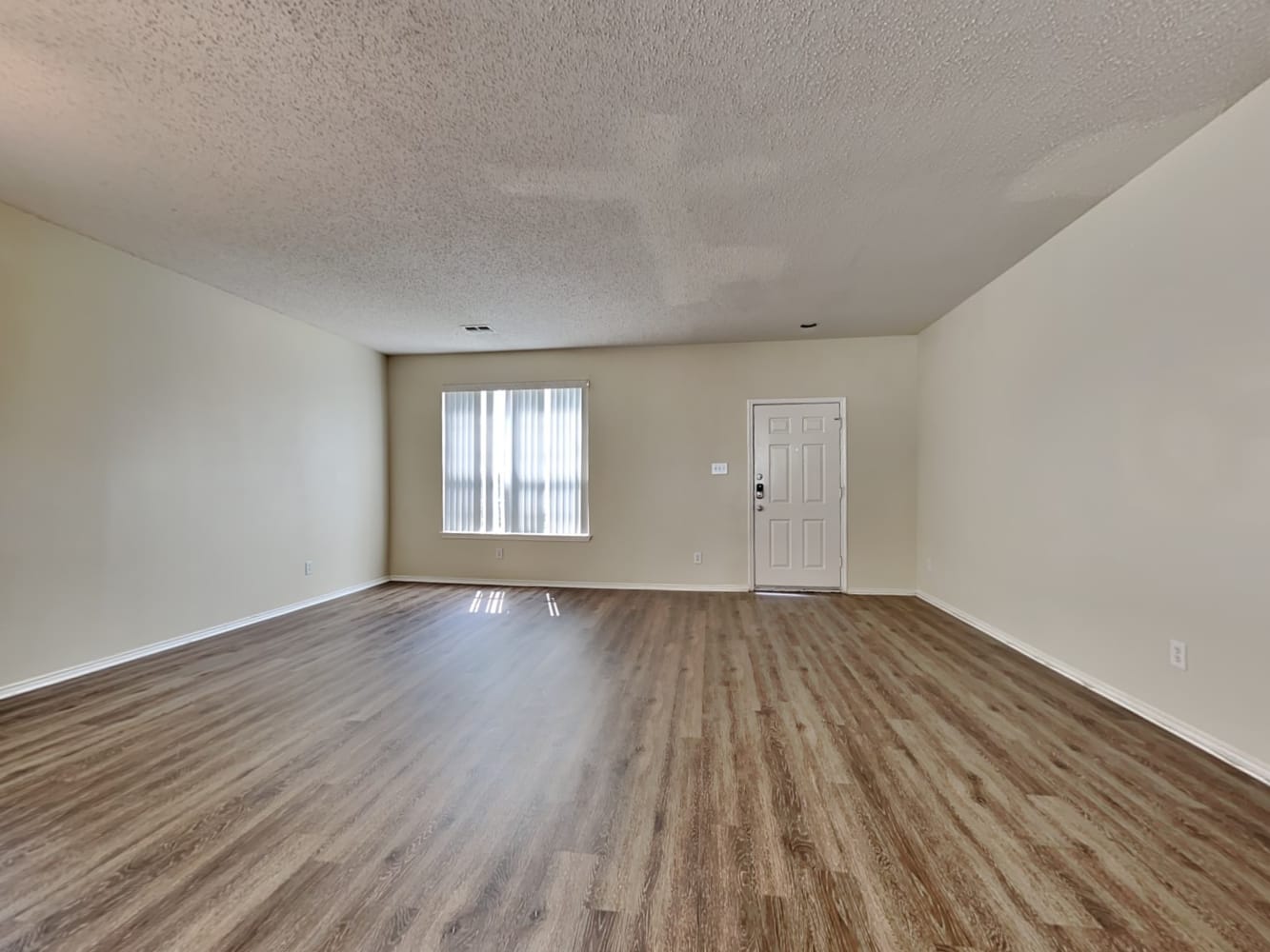 4904 Palm Ridge Dr photo 5