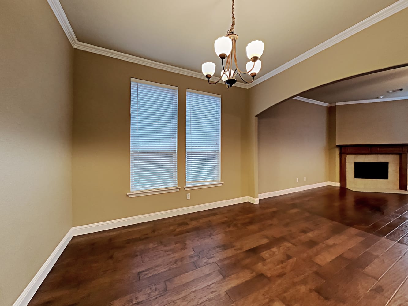 8125 Trinity Vista Trl photo 5
