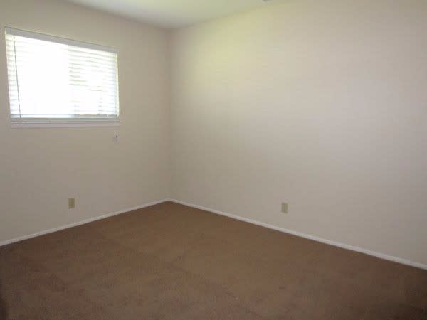 221 Elwood St photo 5