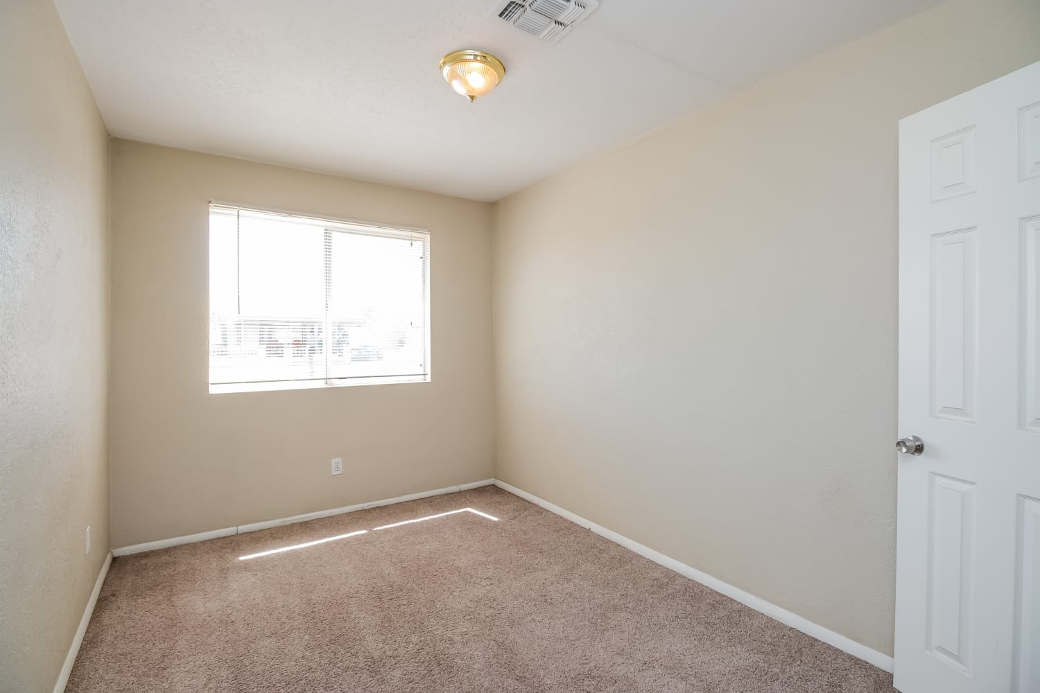 6808 W Windsor Ave photo 4