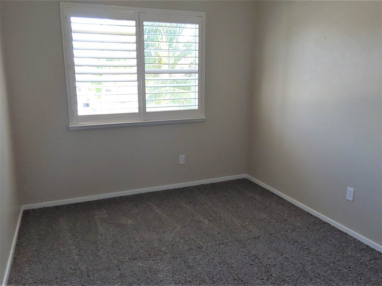 208 Early Light Ct photo 4