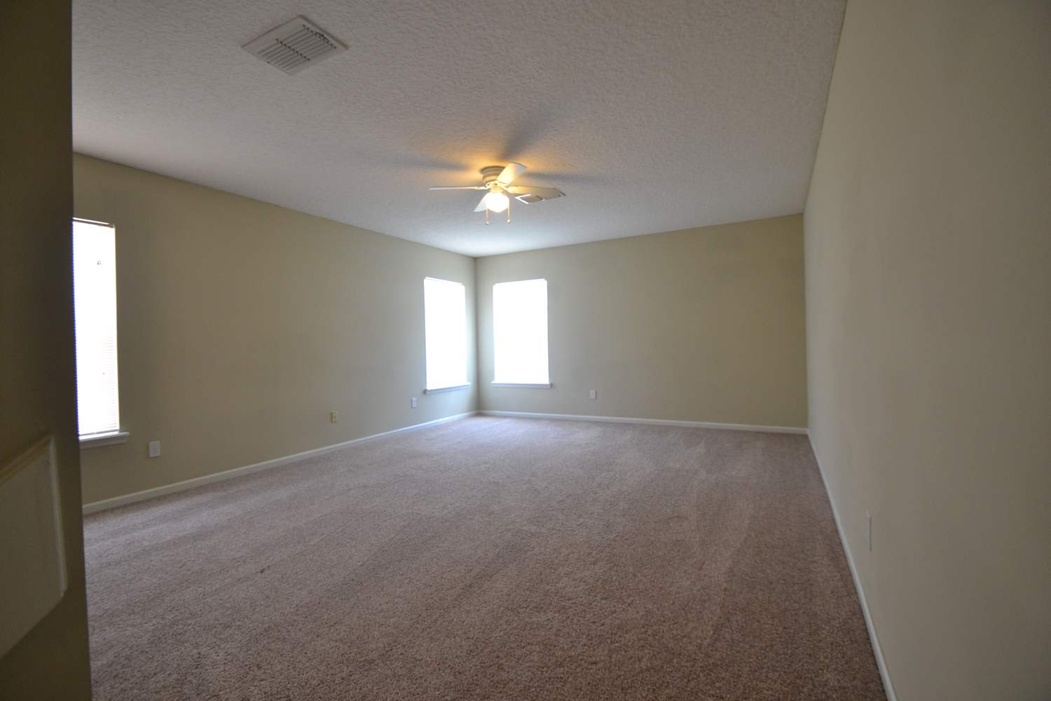 3115 Wandering Oaks Dr photo 3