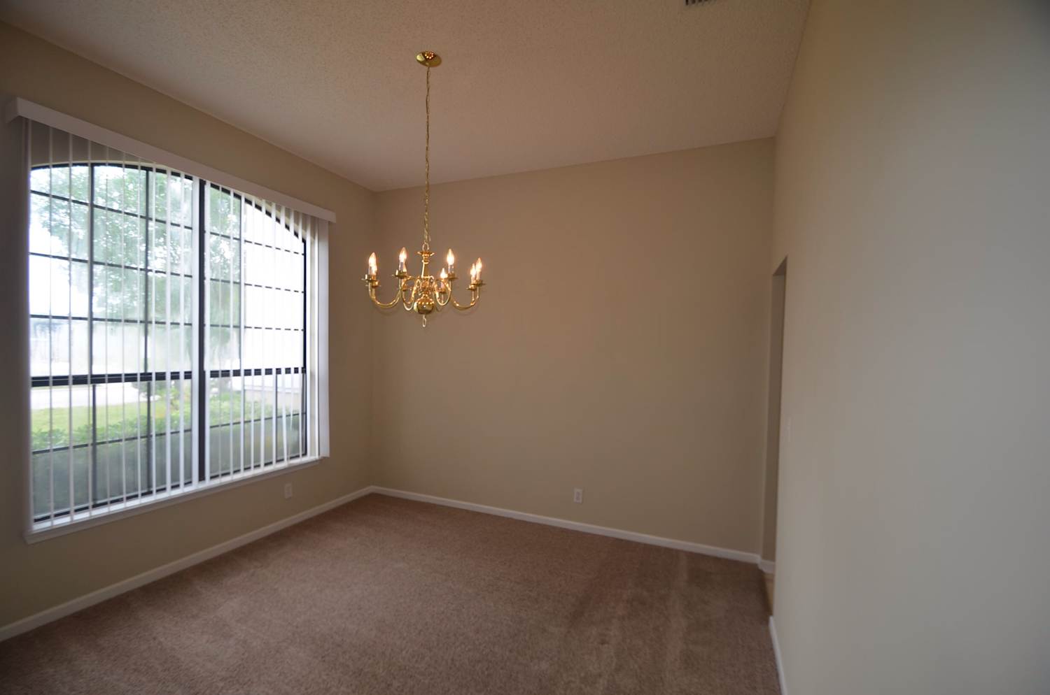 4903 Blount Vista Ct photo 5