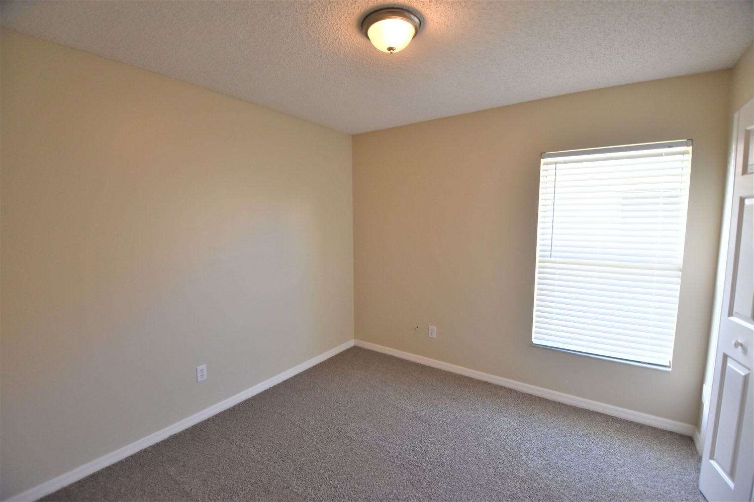 2419 Braemar Dr photo 5