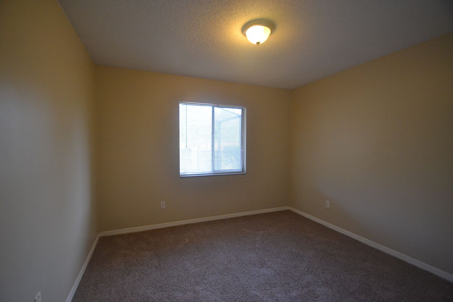 6878 Limpkin Dr photo 5