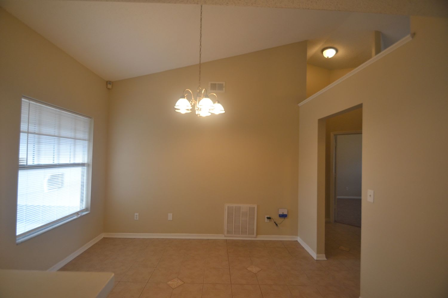 6878 Limpkin Dr photo 3