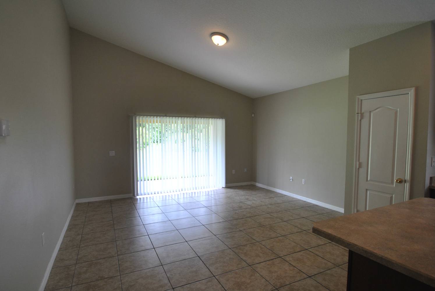 3144 Dasha Palm Dr photo 4