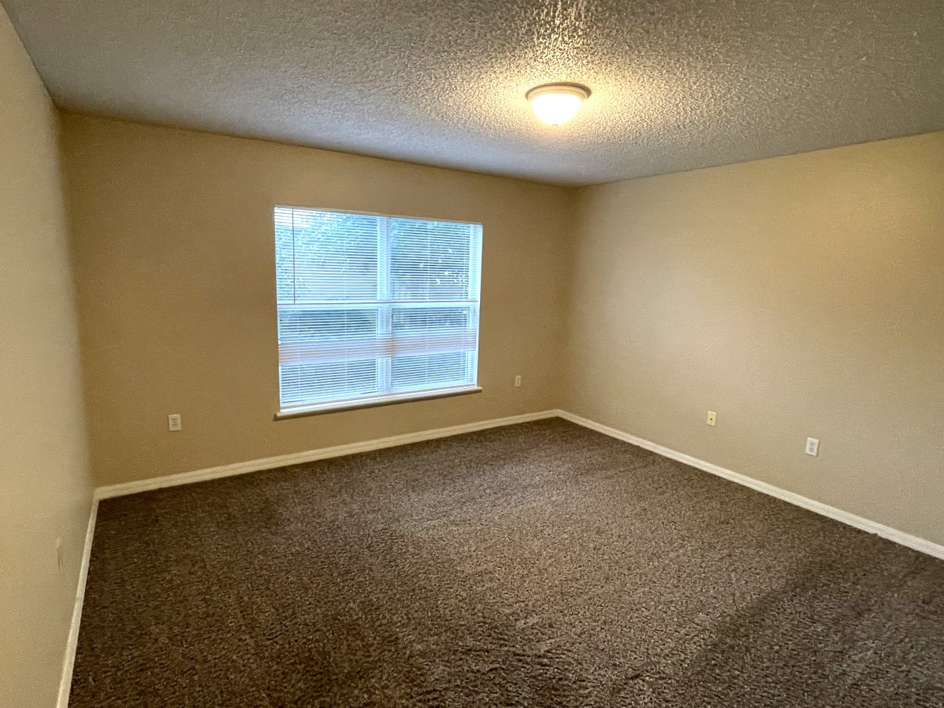 1374 Welch Ridge Ter photo 5