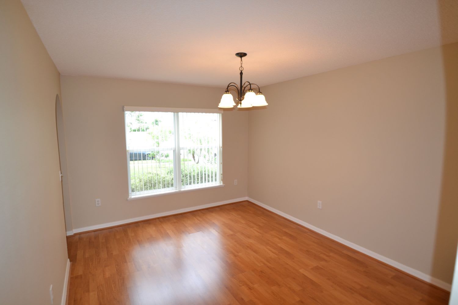 496 Elgin Blvd photo 5