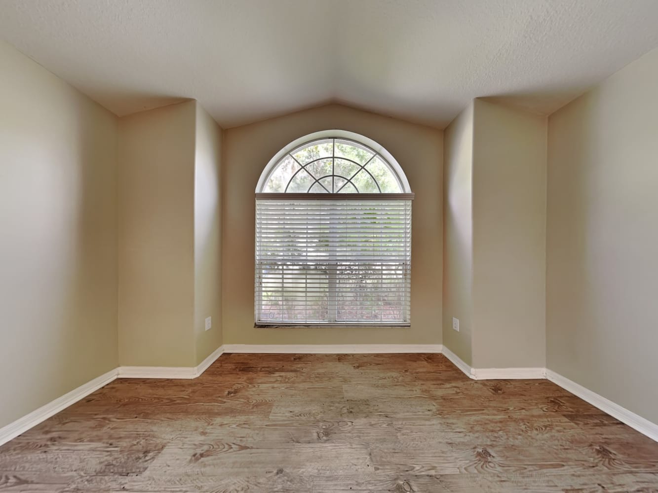 12048 Fall Creek Ct photo 4