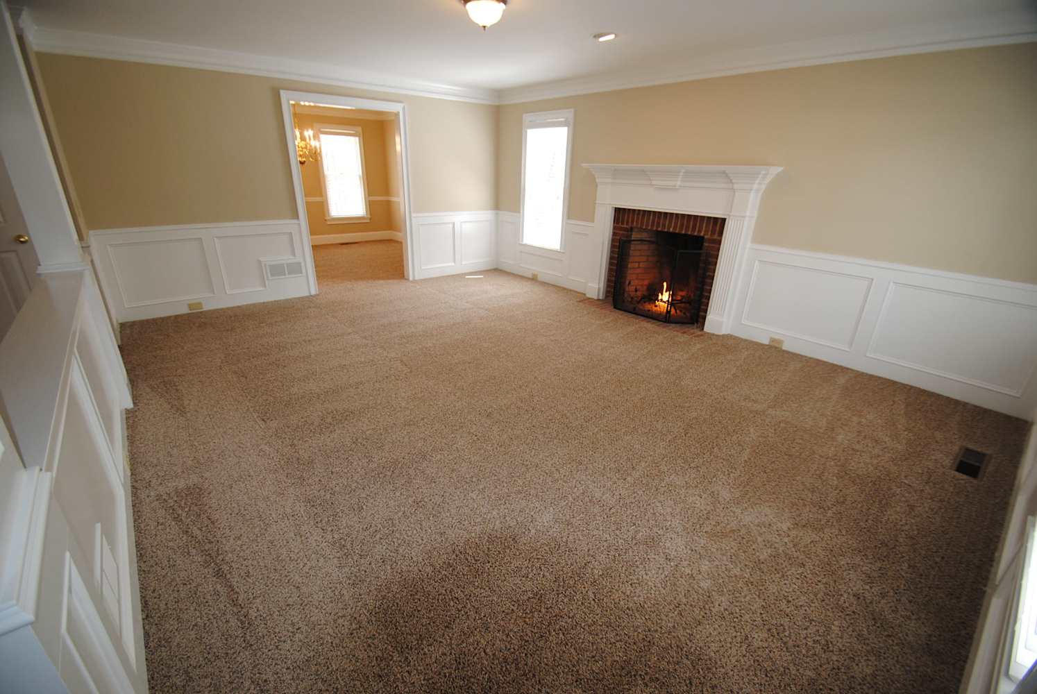 1447 Brown Ridge Ln photo 5