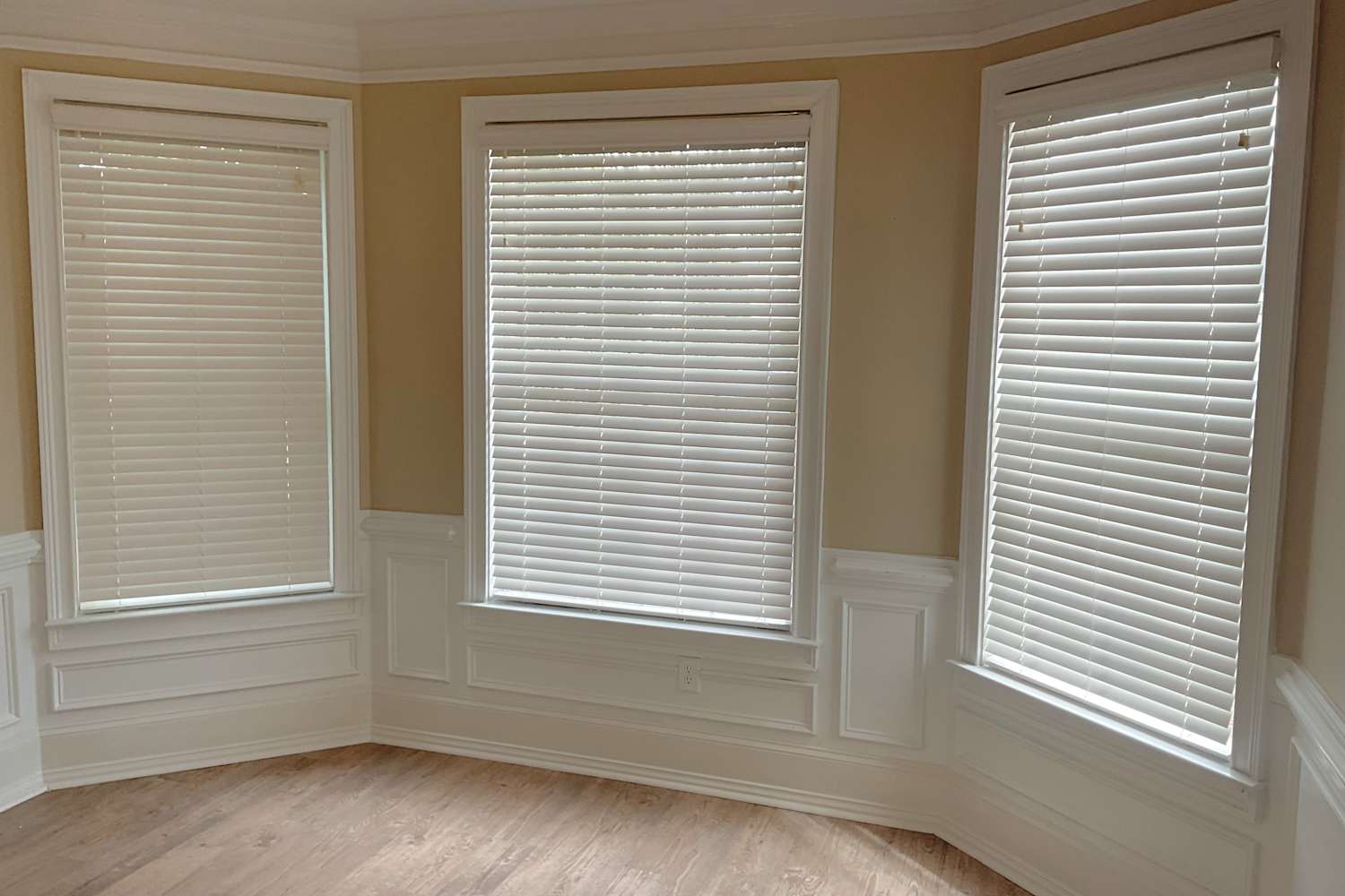 1704 Rising View Cir photo 5