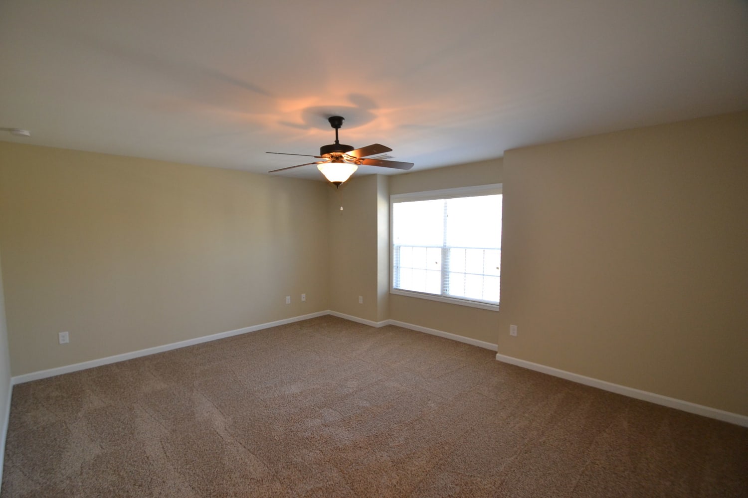 2472 Folsom St photo 5