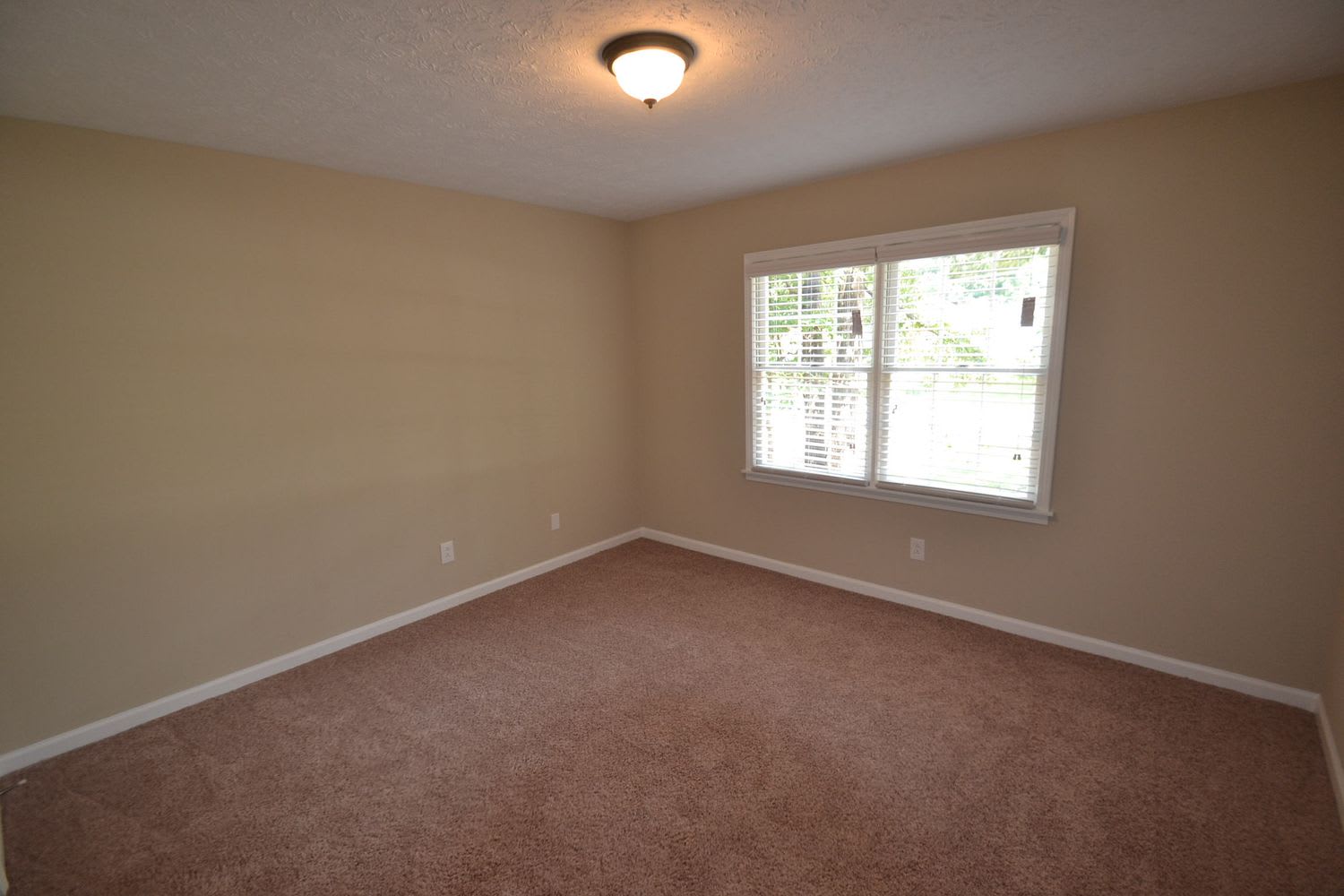 4172 Scenic Mountain Dr photo 5