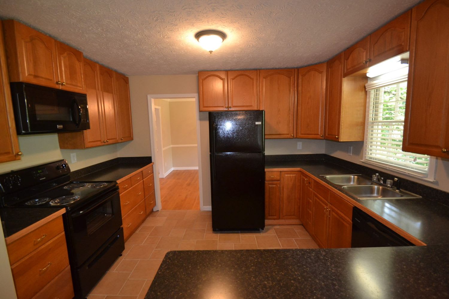 4172 Scenic Mountain Dr photo 3