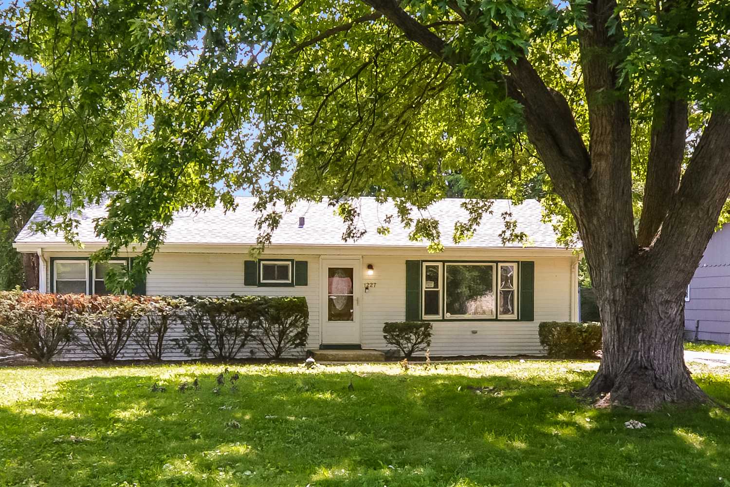 1227 S Lawler Ave photo 4