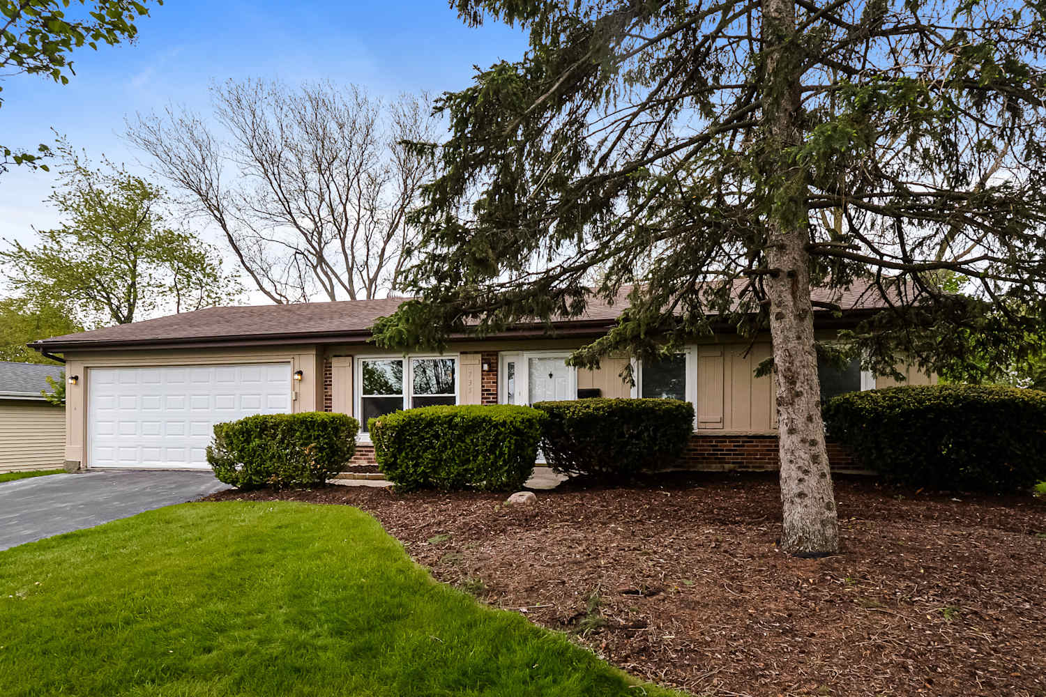 735 Burr Oak Dr photo 3