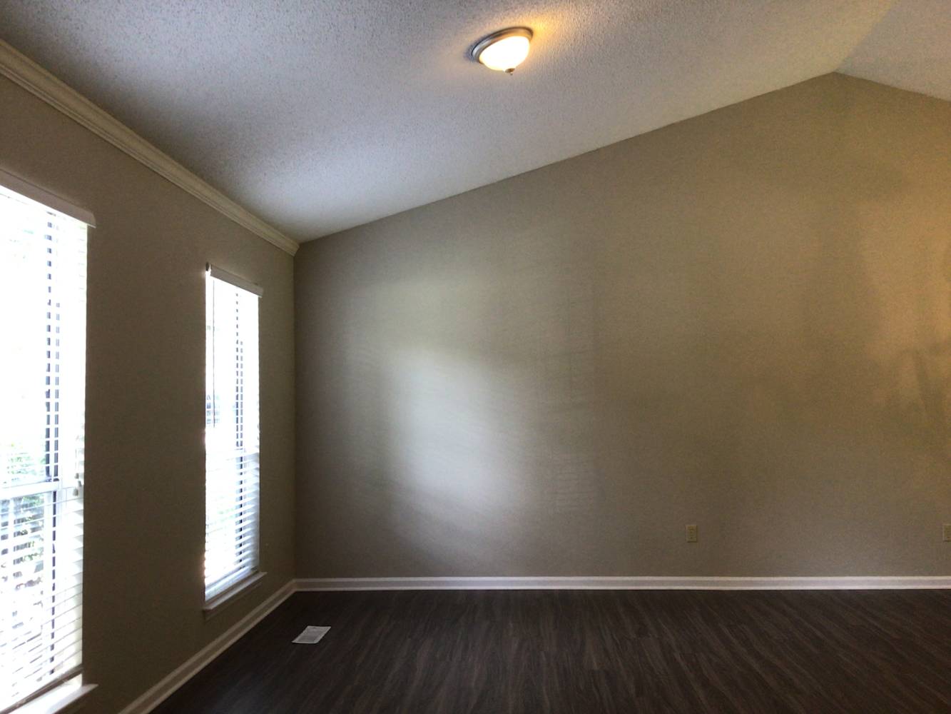 3216 Mintleaf Dr photo 3