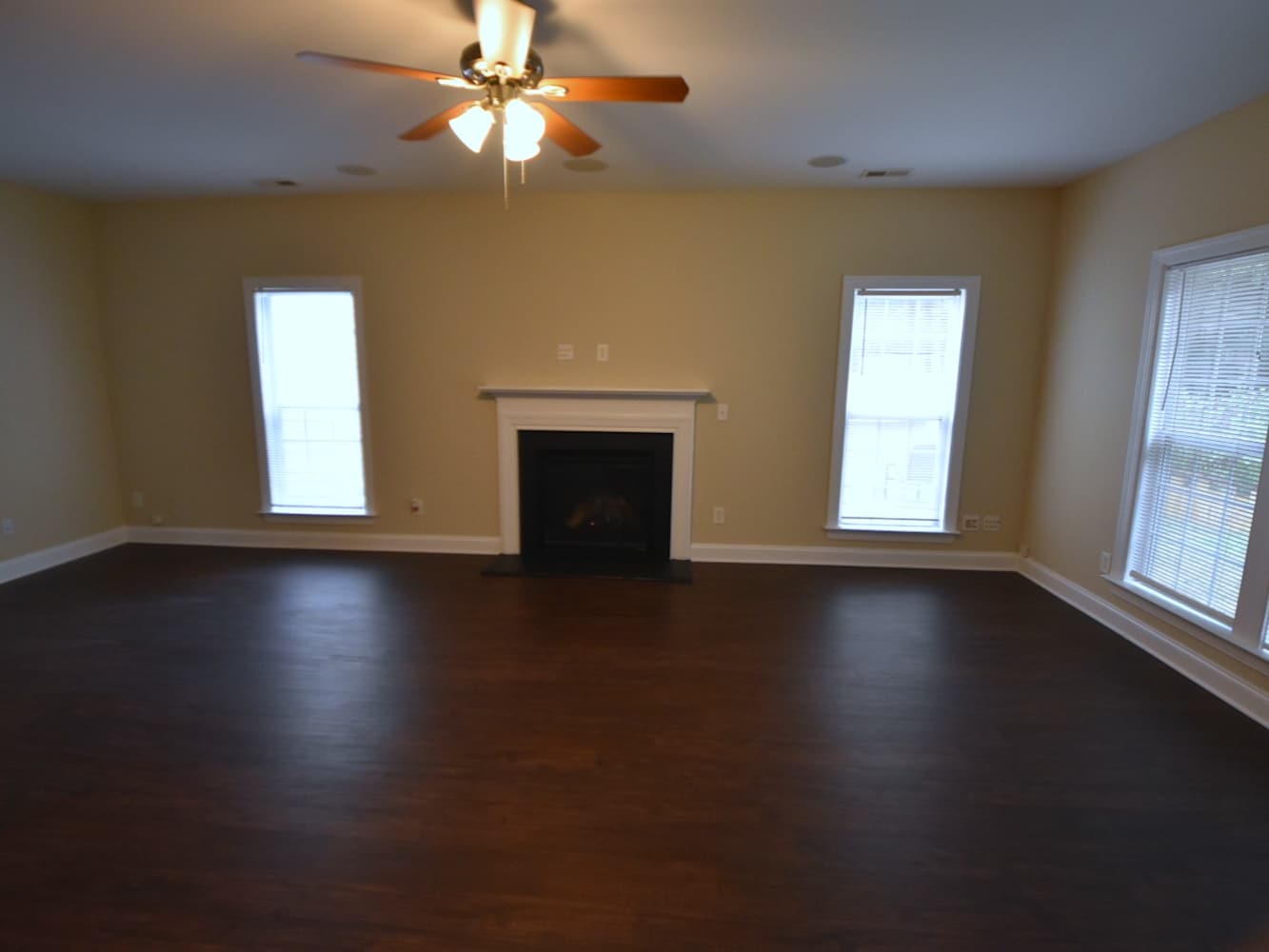10730 Dapple Grey Ln photo 3