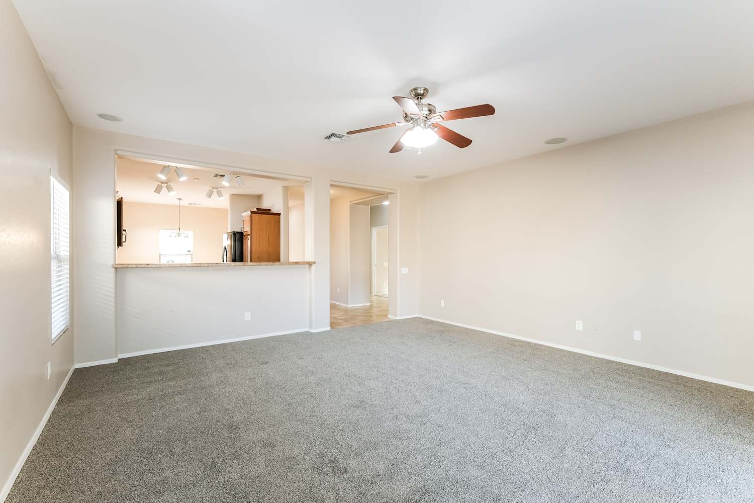 5413 W Park St photo 4