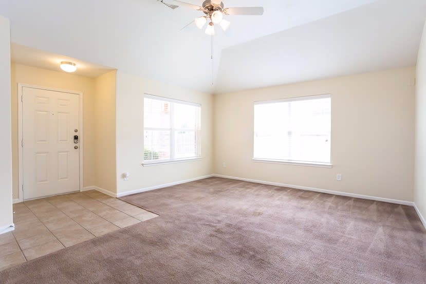 5802 Le Carpe Plantation Ct photo 4