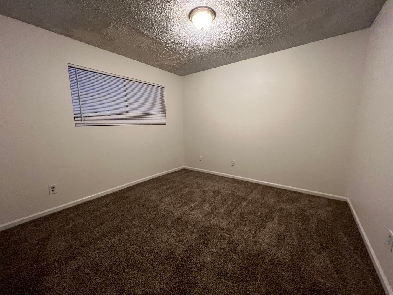 1627 W Libby St photo 4