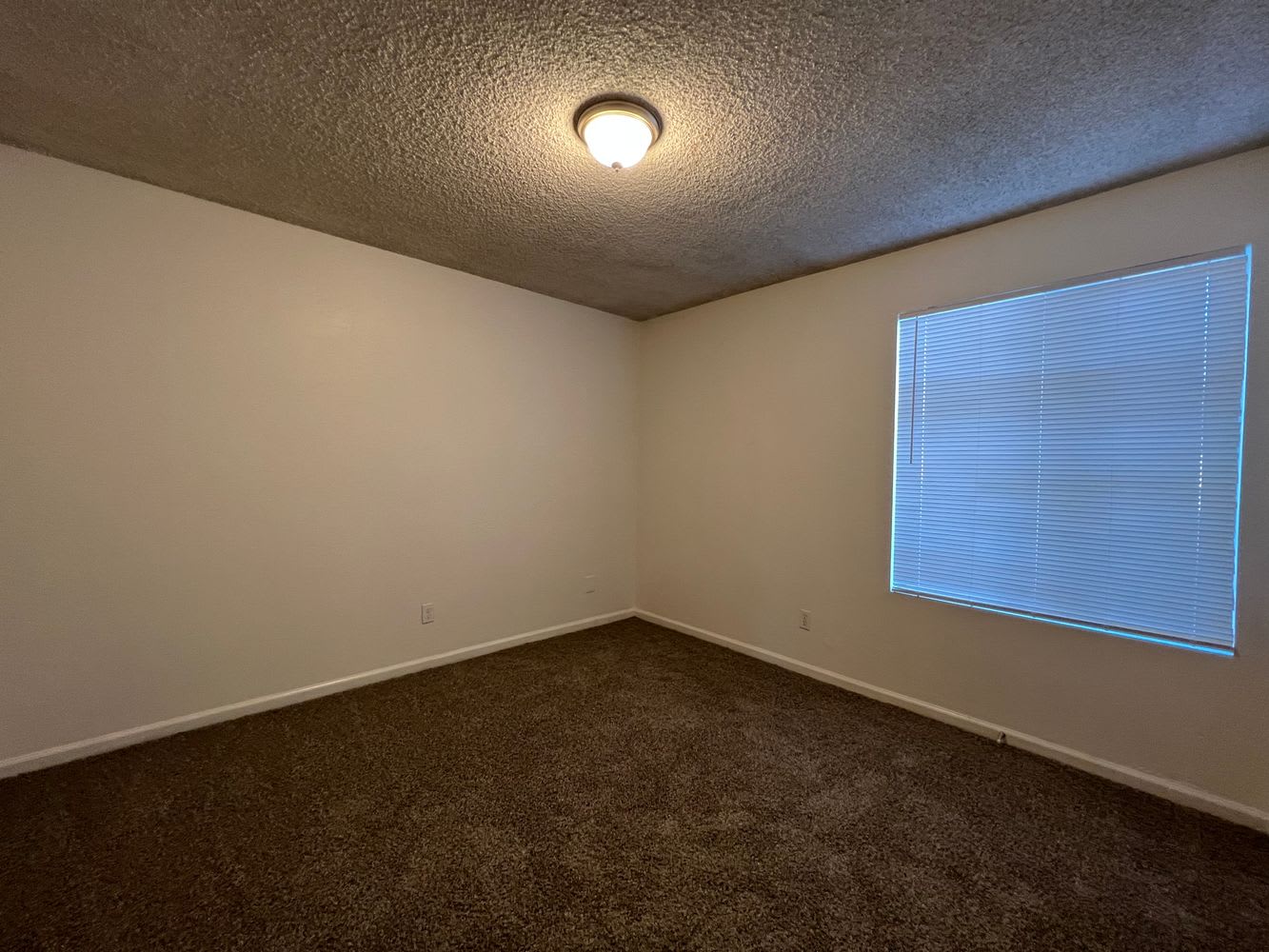 1627 W Libby St photo 5