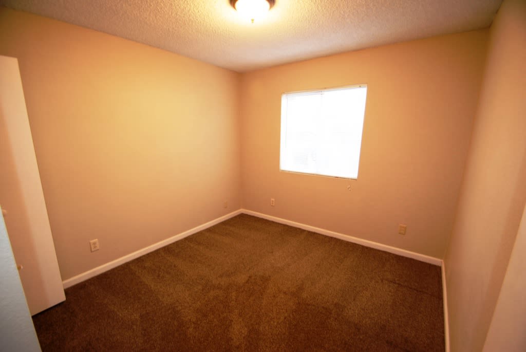 1531 E Hilton Ave photo 5