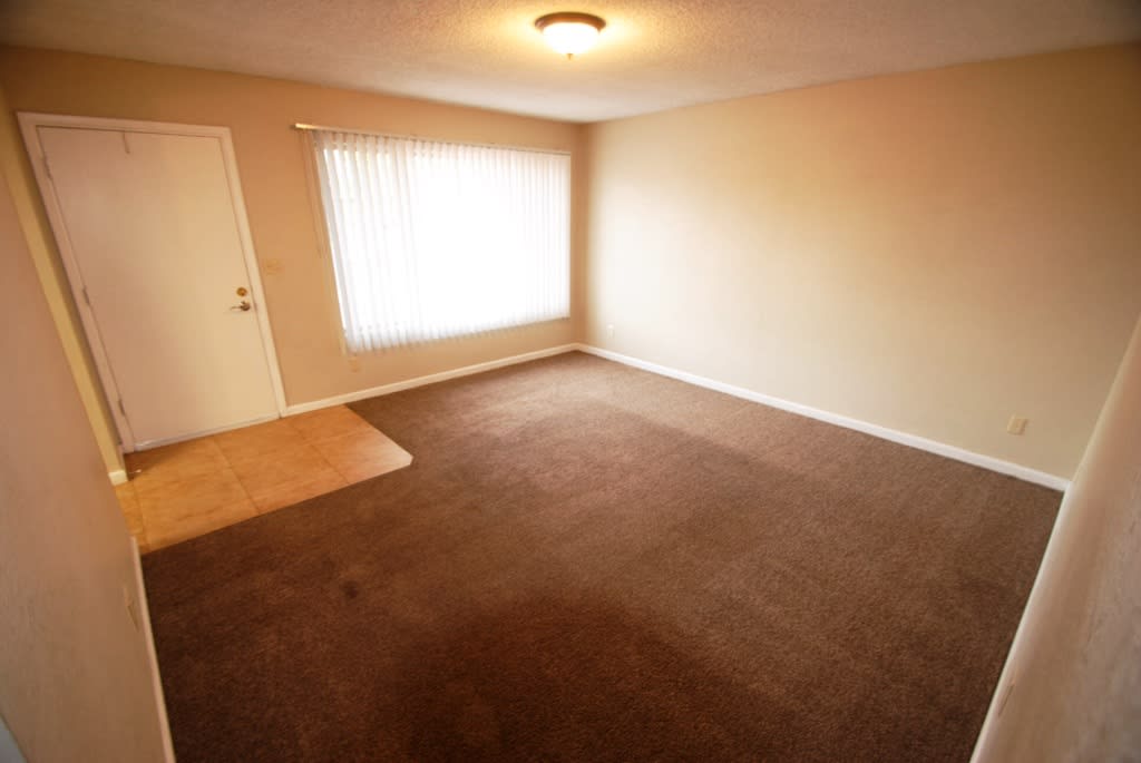 1531 E Hilton Ave photo 2