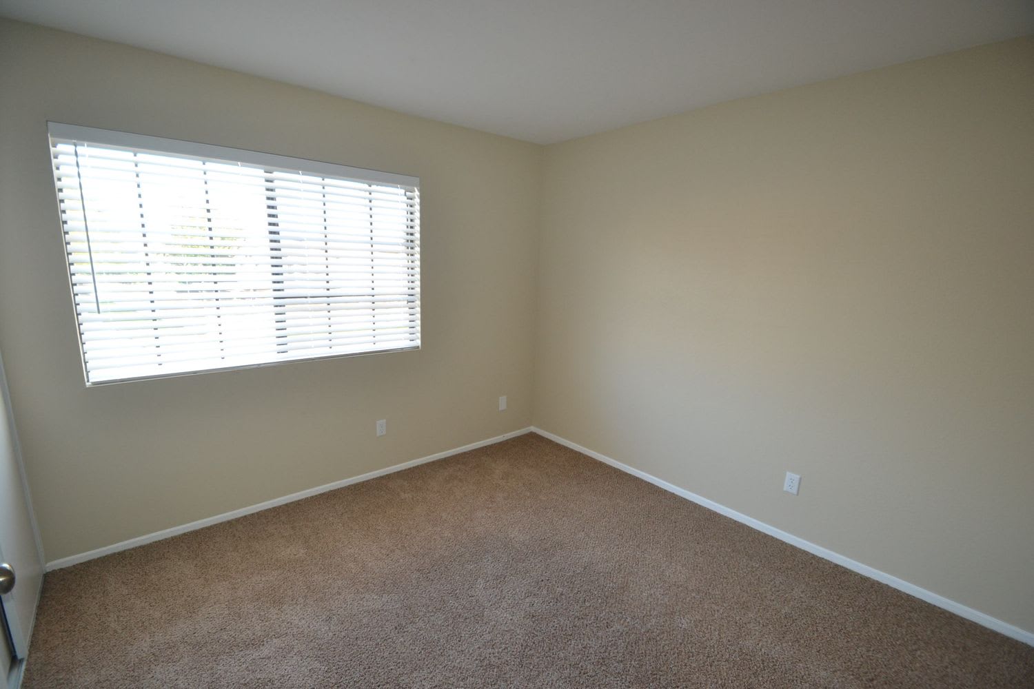 1785 Via Verde Dr photo 5