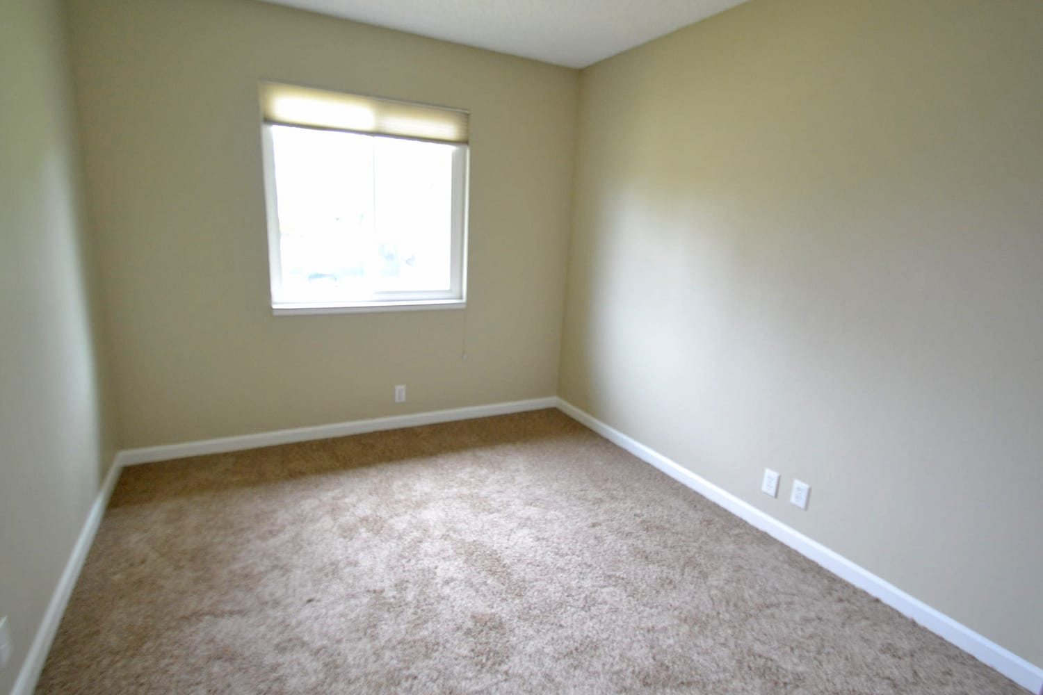 2432 El Rocco Way photo 4