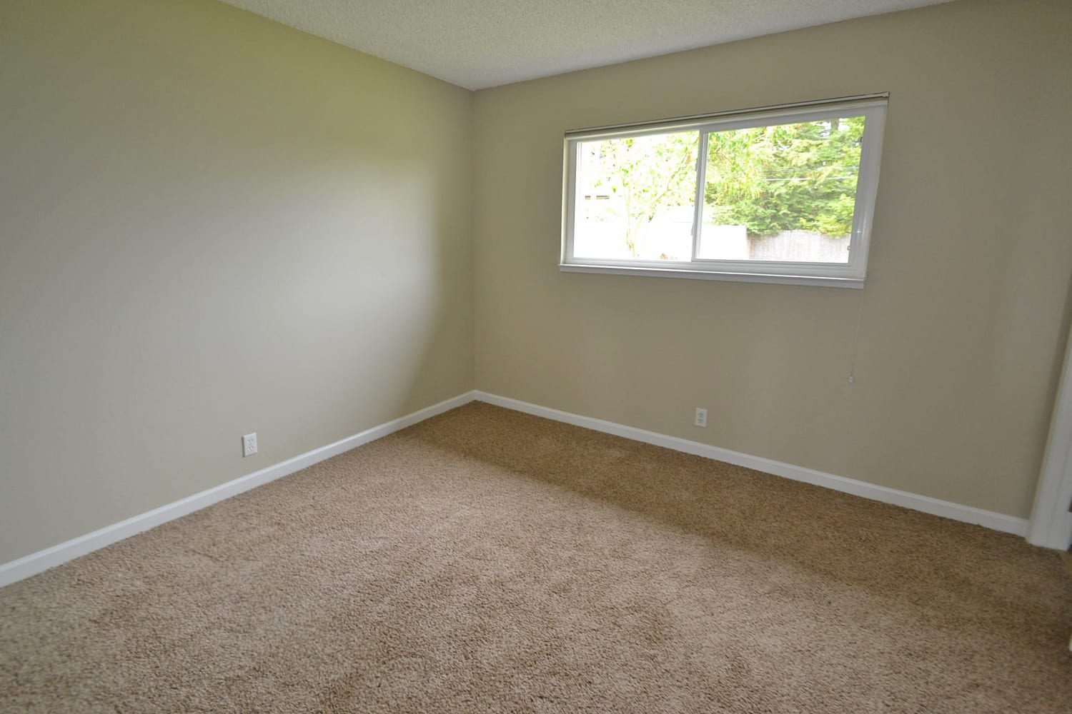 2432 El Rocco Way photo 5