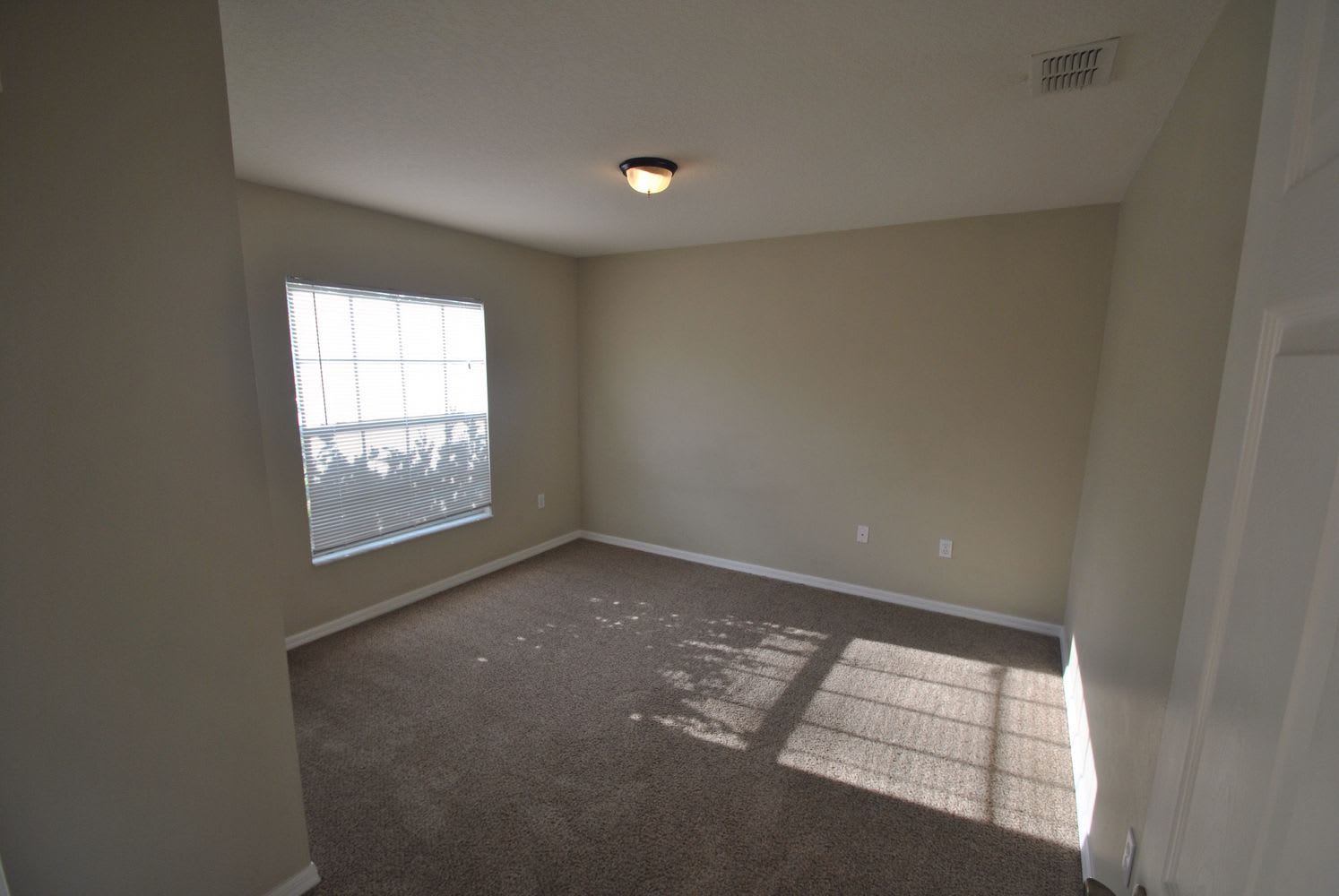270 Dahoon Holly Dr photo 3