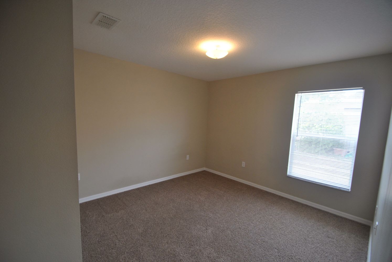 270 Dahoon Holly Dr photo 5