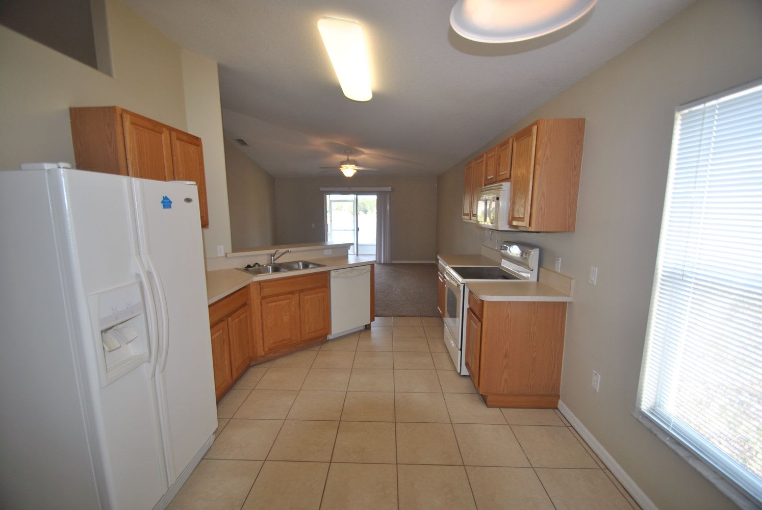 270 Dahoon Holly Dr photo 2
