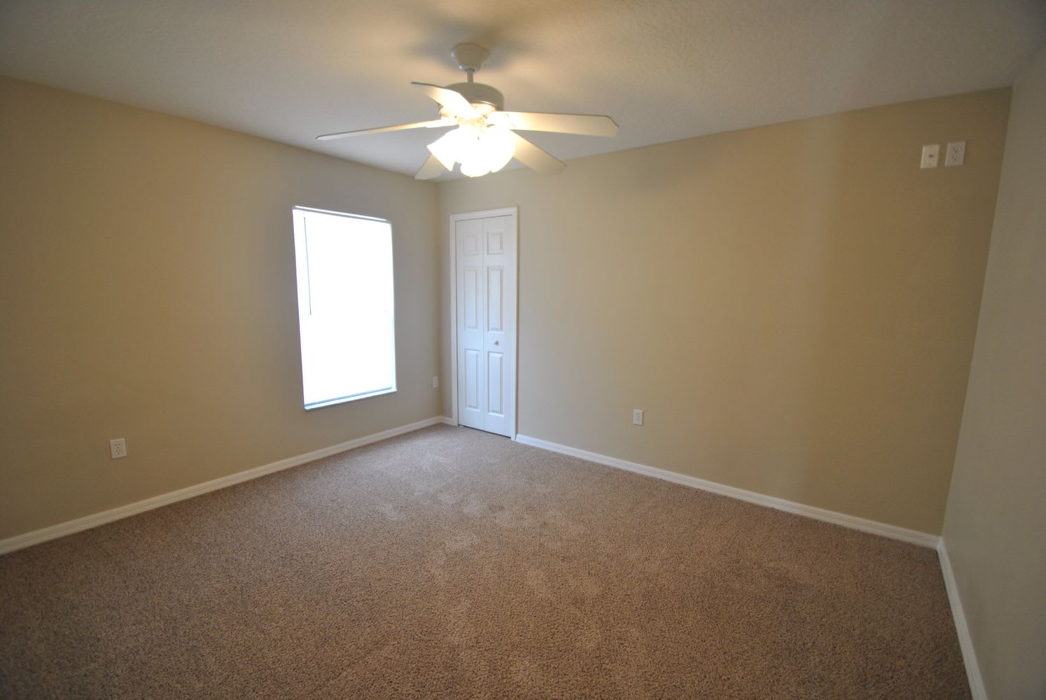 270 Dahoon Holly Dr photo 4