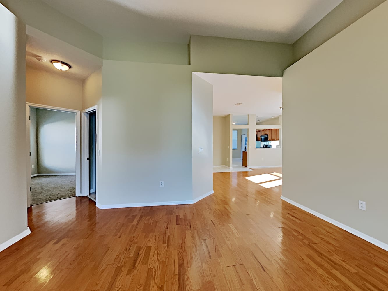 12331 Hollybush Ter photo 4