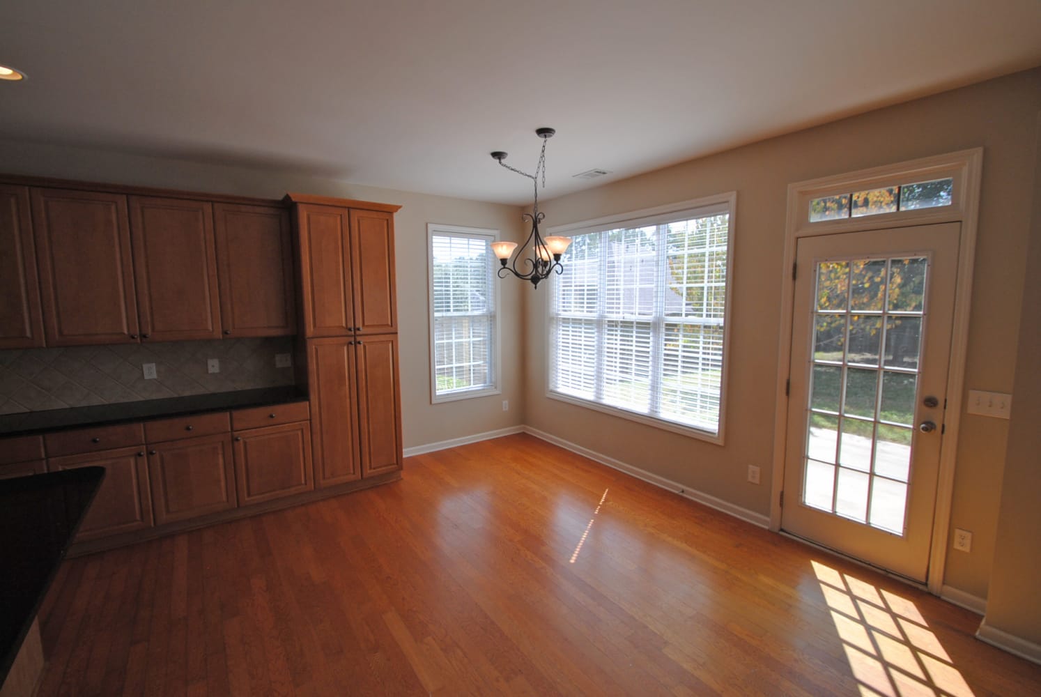 407 White Cloud Trl photo 3